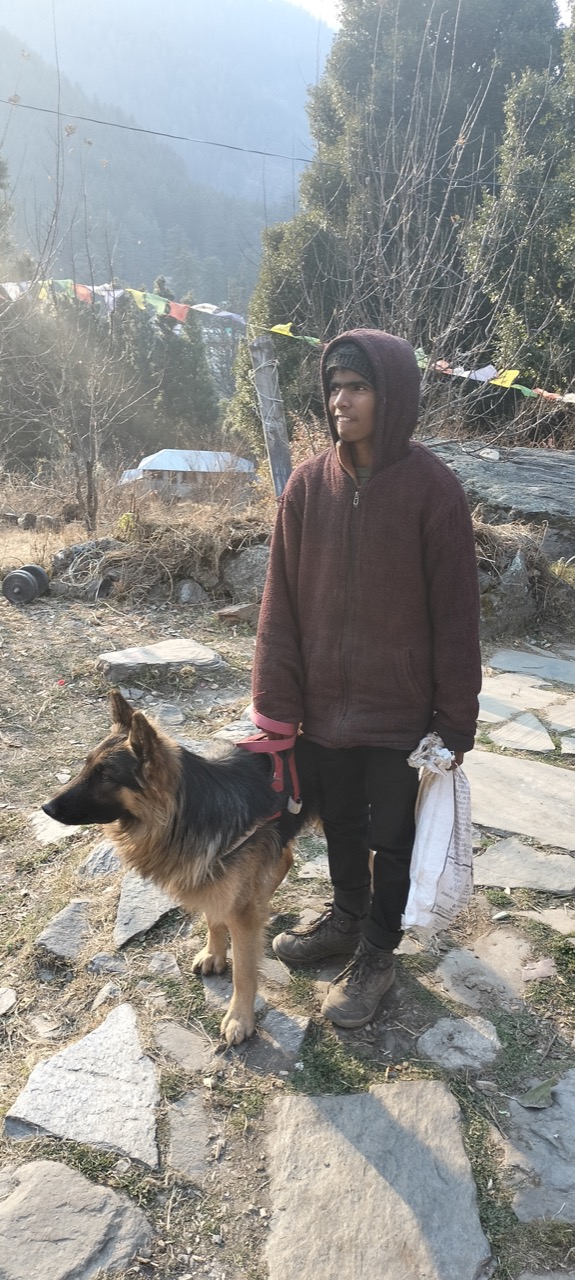 Furventures - Pet Adventures & Events - Photo 87